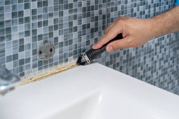 Best Home Mold Removal  in Hopewell, TN